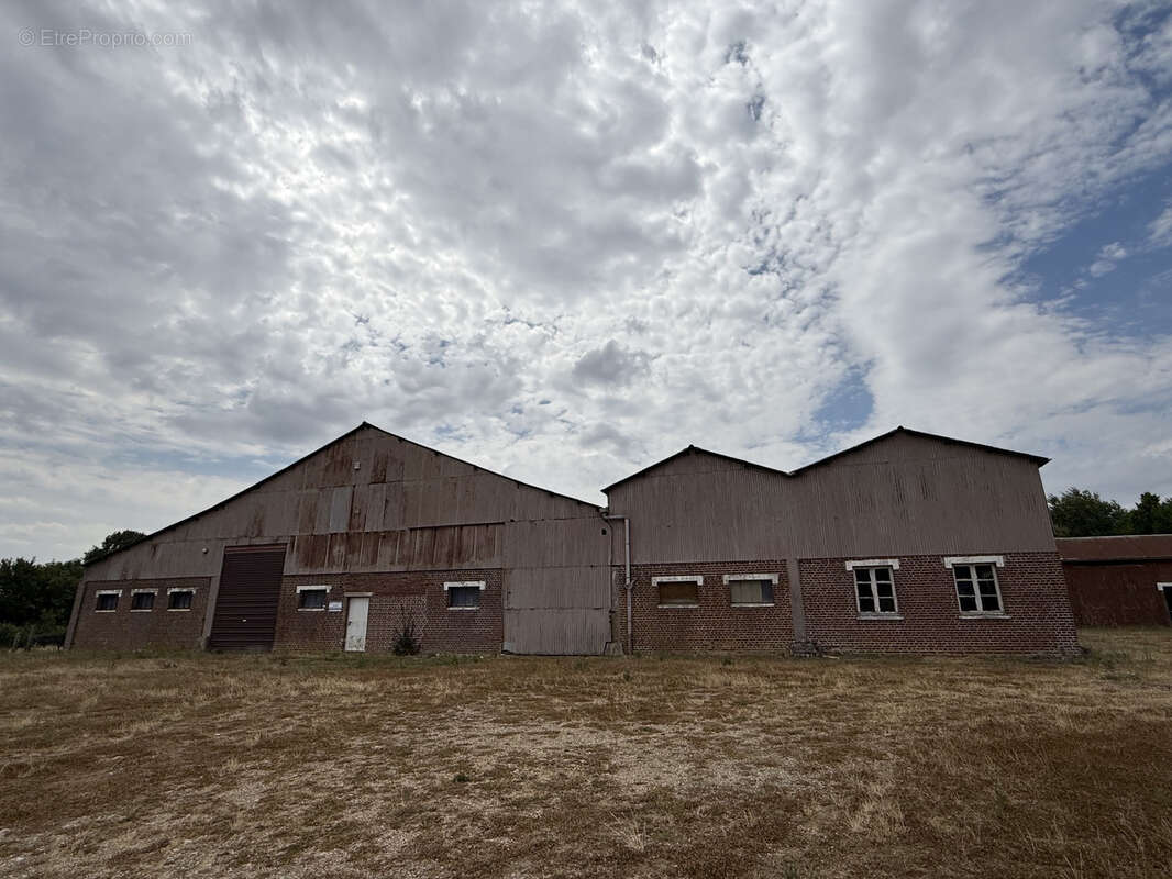Propriété avec 2 hectares et hangar - photo 19