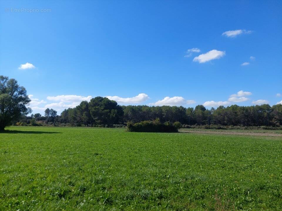 Terrain à CAVAILLON