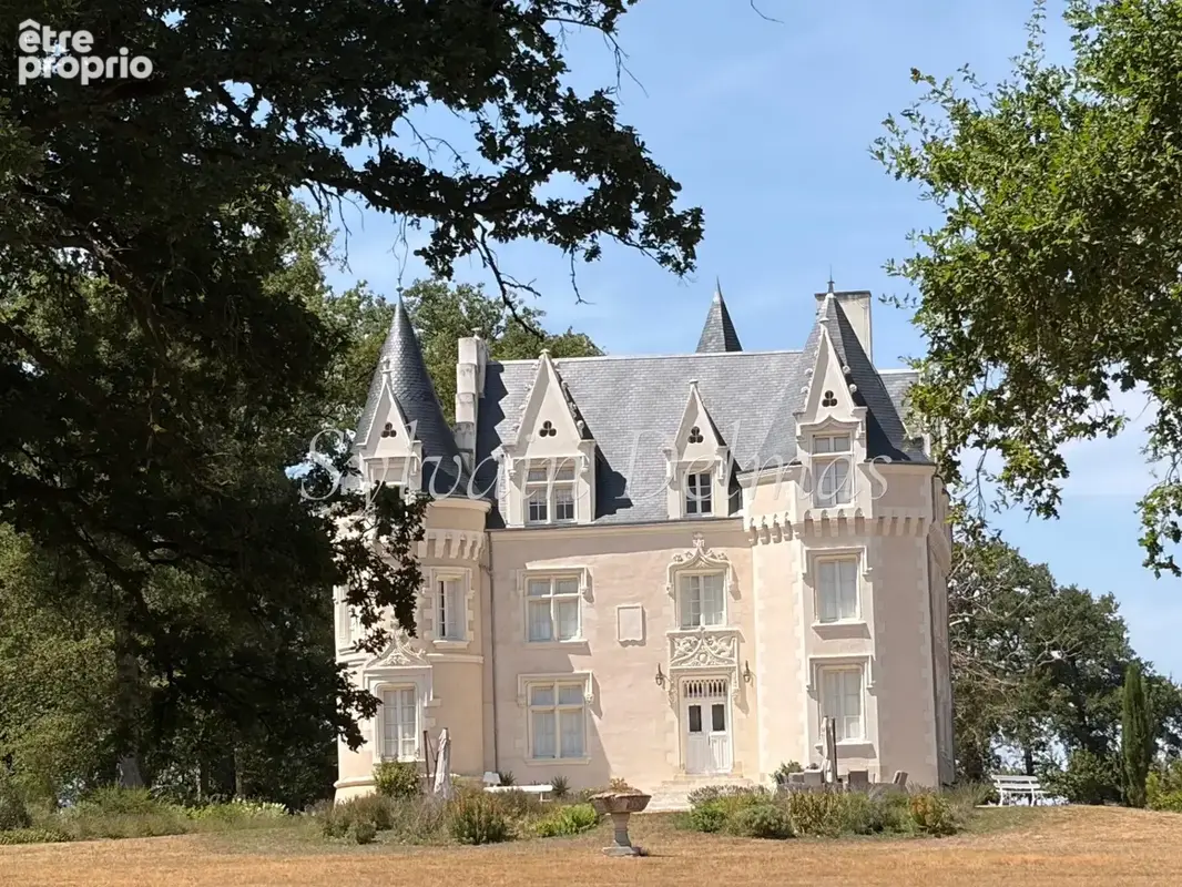 Propriete à vendre 8 pièces proche de LOCHES (37) - photo 6