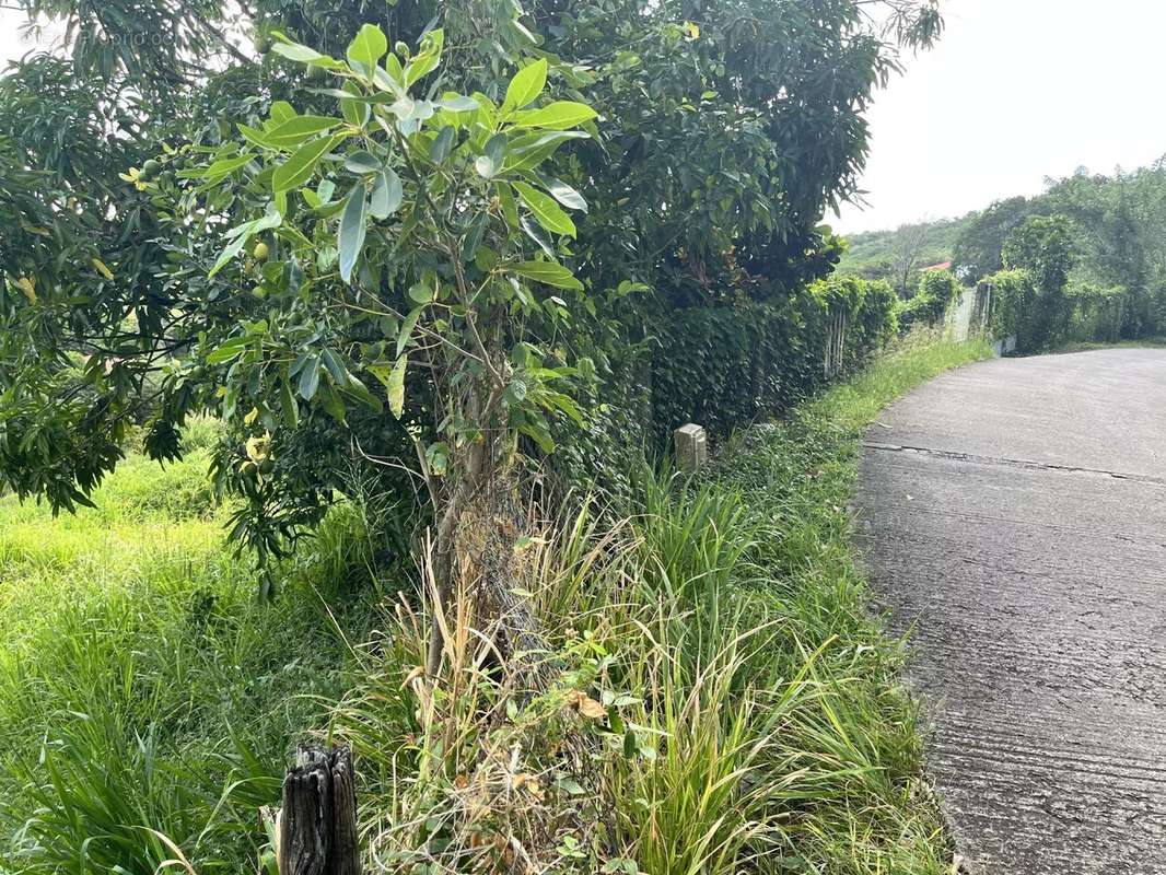 Terrain à RIVIERE-SALEE