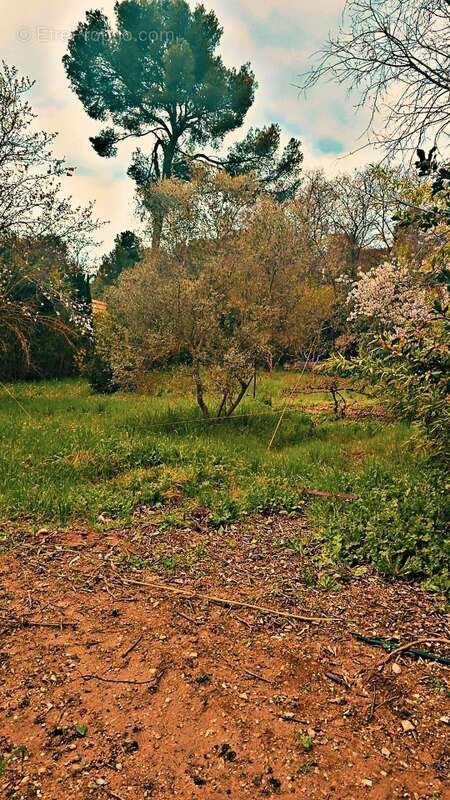 Terrain 515 m² à Marignane  - photo 3