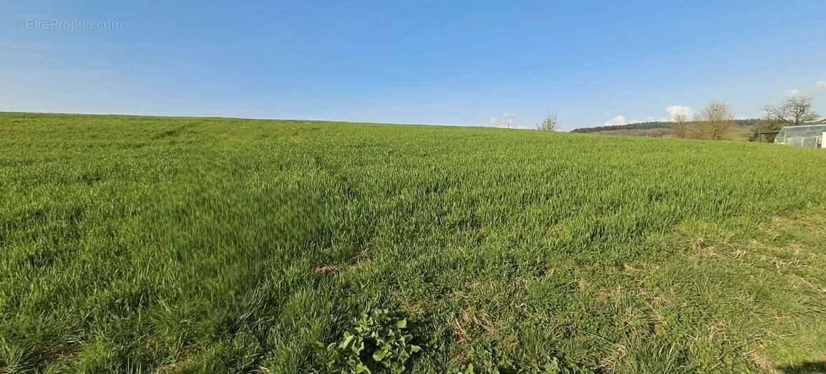 Terrain à VENDRESSE