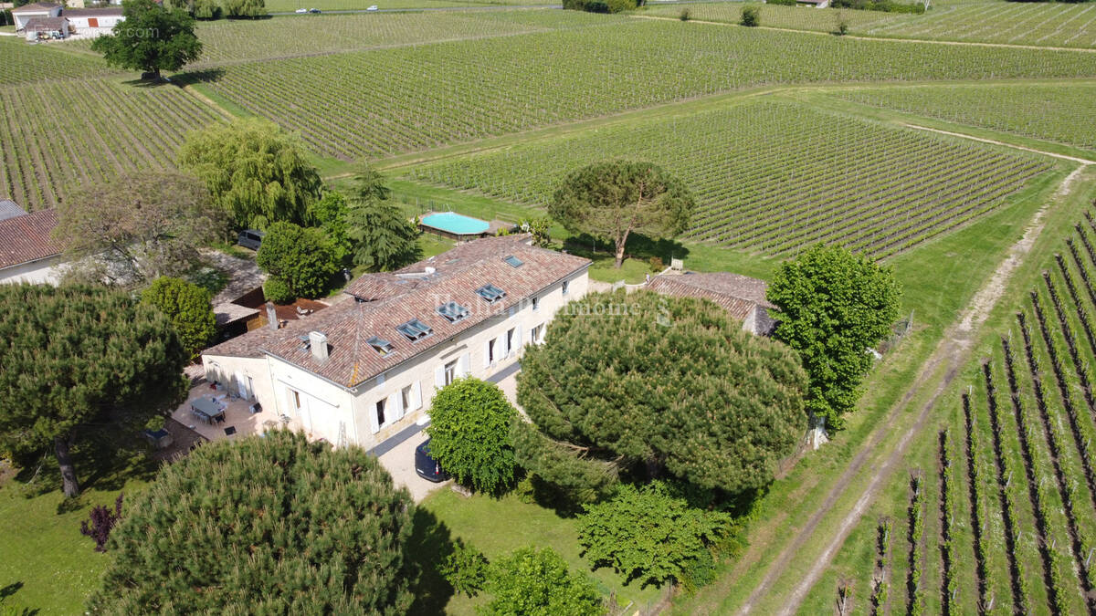 Propriete saint emilion. 380 m2 de surface habitable et 2800 m2 de terrain avec piscine - photo 2