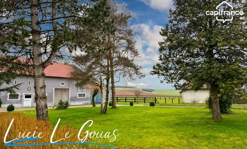 Ferme équestre - photo 21