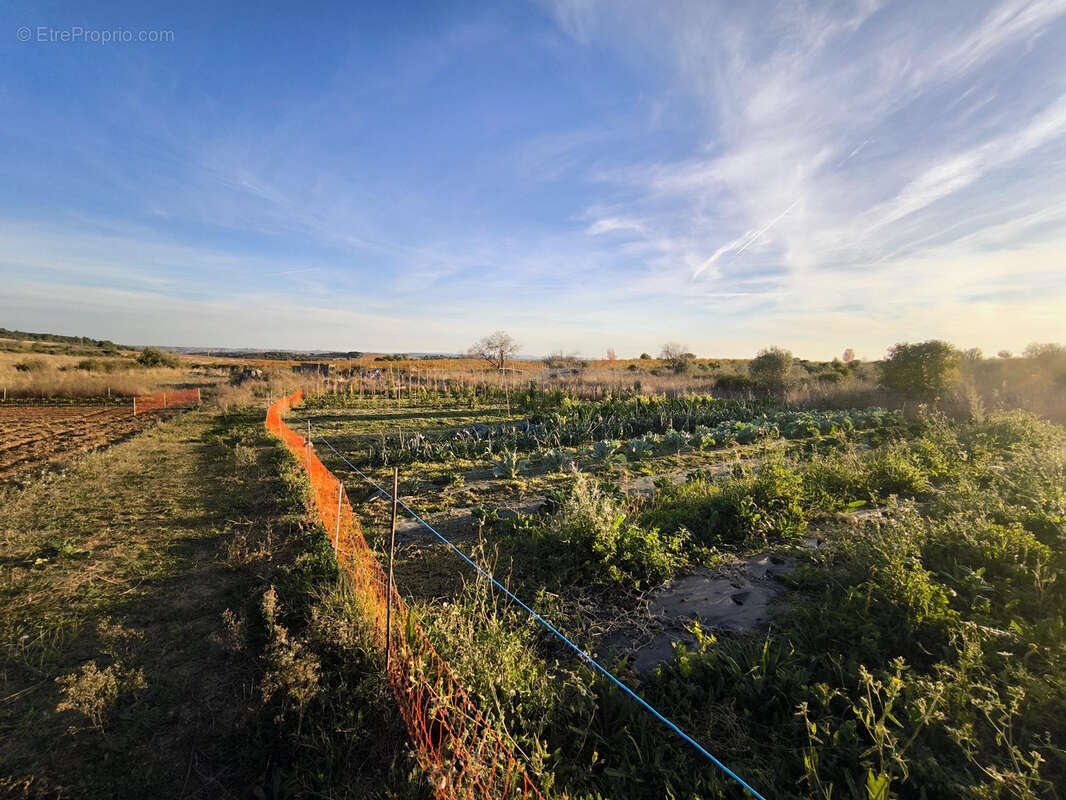 Maison à CAZOULS-LES-BEZIERS
