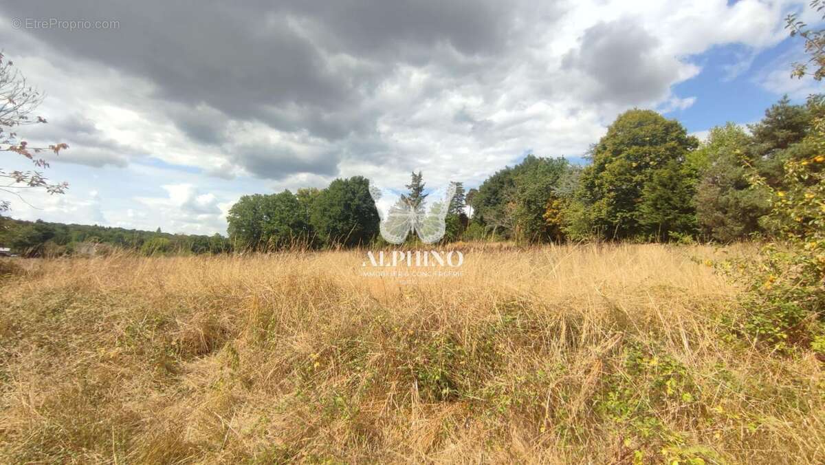 Terrain à VARAIGNES
