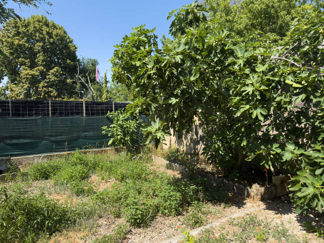 Maison de ville - photo 13