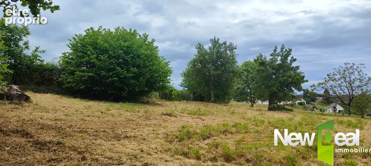 Très beau terrain de plus de 2000 m² sur les hauteurs de DONZENAC - photo 3