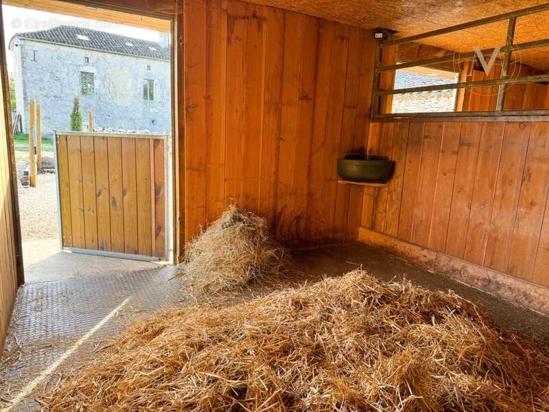 Propriété équestre d’exception implantée sur 21 hectares d’un seul tenant, à proximité de THEZAC (47) - photo 23