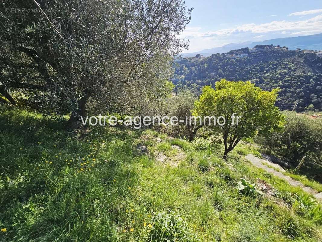 Terrain à ASPREMONT