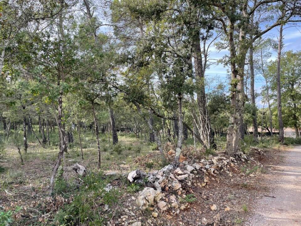 Terrain à LE THORONET