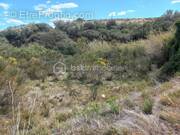 Terrain à PEZILLA-LA-RIVIERE