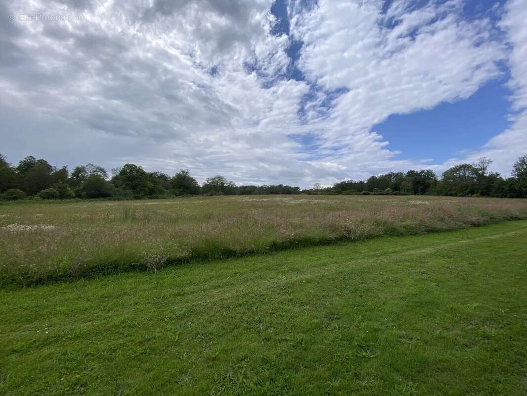 Maison de caractère de 4 chambres en pleine campagne,  avec près de 2ha de terrain attenant - photo 18