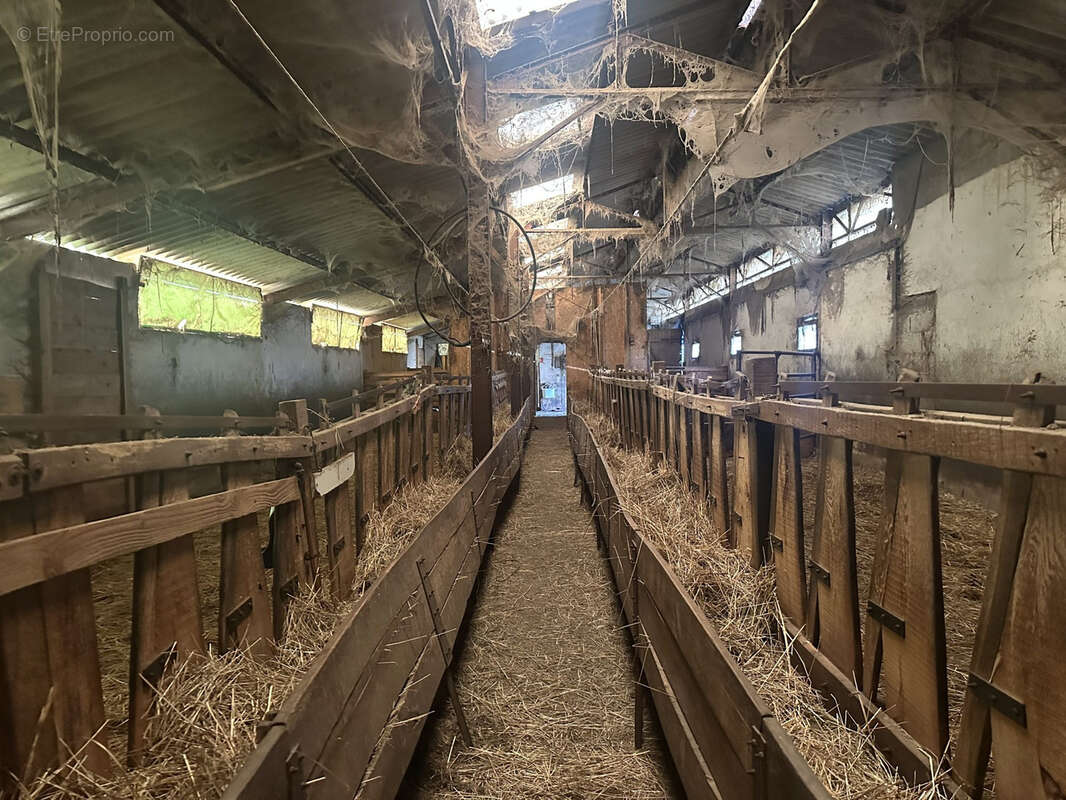 Exploitation - photo 19