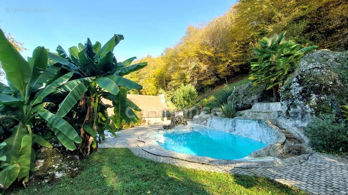 A vendre. Ensemble de 250m² à Tursac (24) avec maison d'habitation, gîte, piscine lagon sur près de 1,5 hectares de terrain en p - photo 10