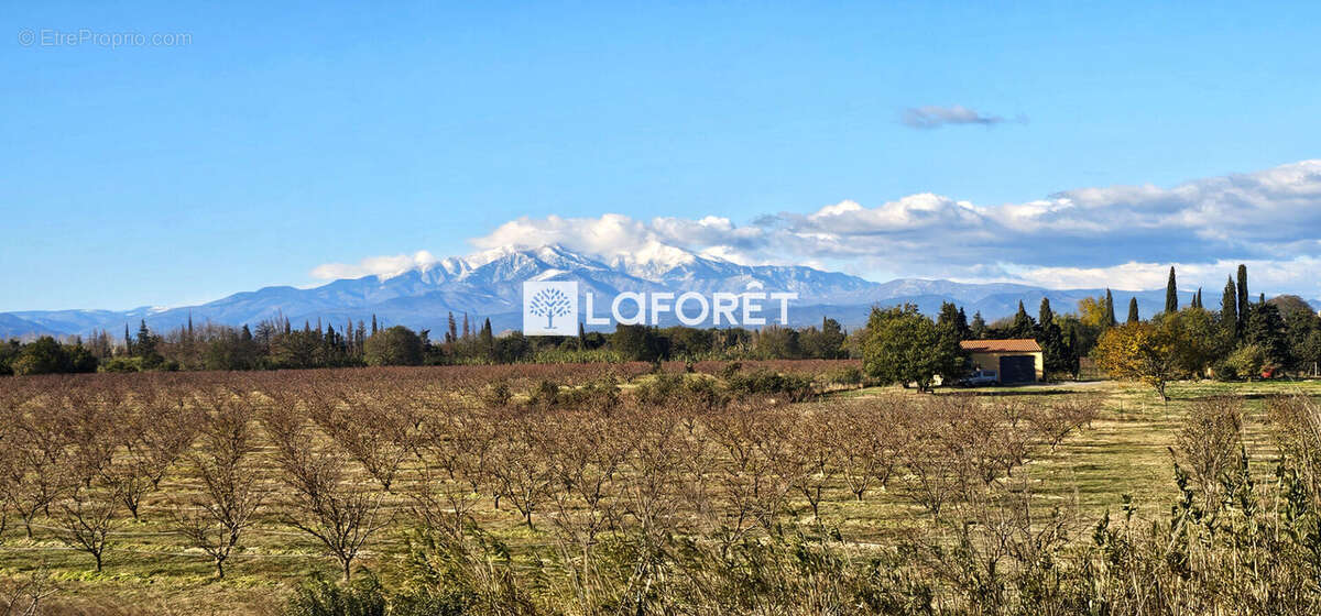 Maison à LAROQUE-DES-ALBERES