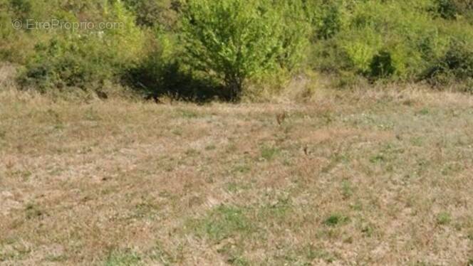 Terrain à SAINT-PIERRE-LAFEUILLE