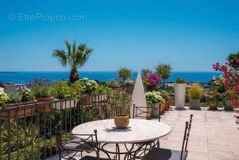 Maison 250 m² à Cannes  - photo 2