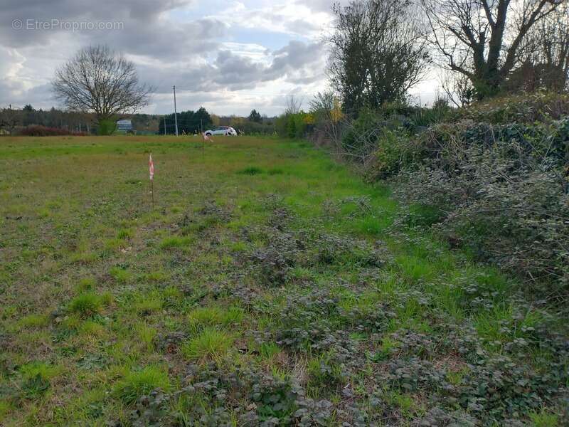 Terrain à VILLETON