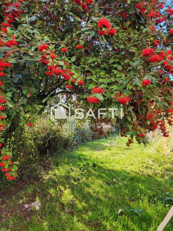 Photo 4 - Maison à AUBETERRE-SUR-DRONNE
