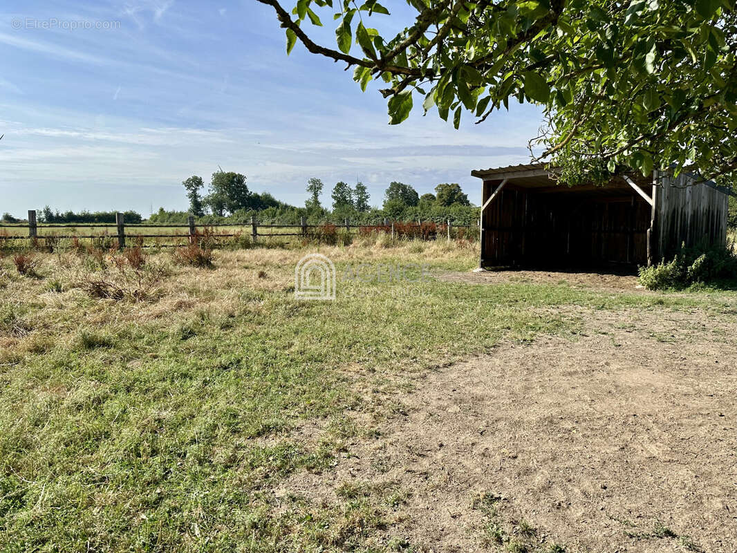 Bien atypique avec habitation et bâtiment agricole sur 2,07 hectares   PREUSEVILLE - photo 13