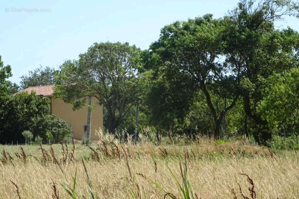 Maison à VIAS