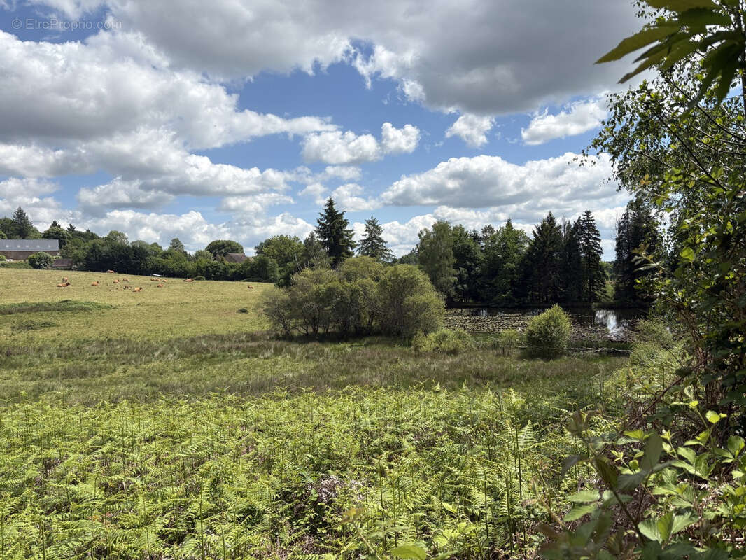 Proche Saint Yrieix La Perche - photo 3