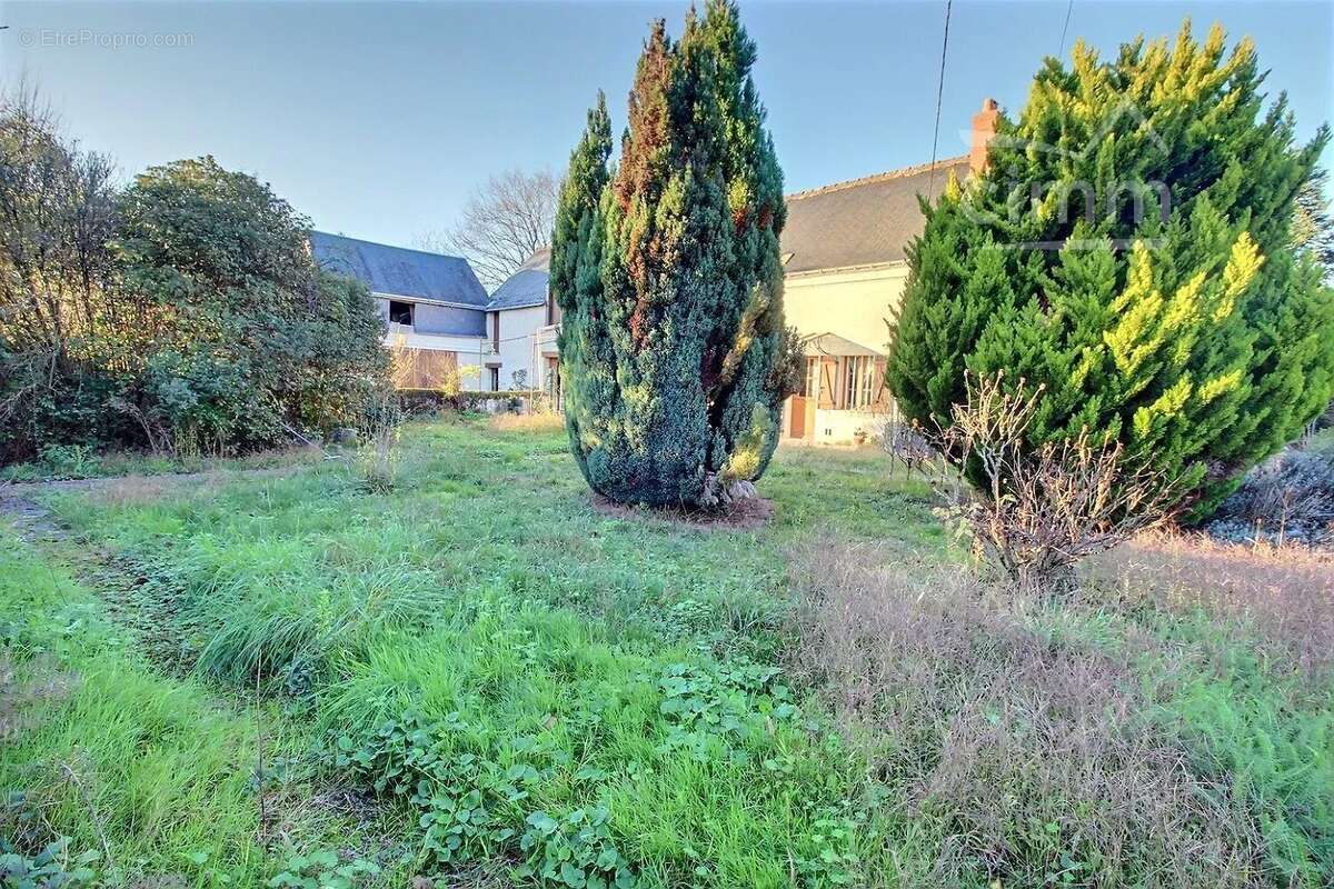 Maison à JOUE-LES-TOURS