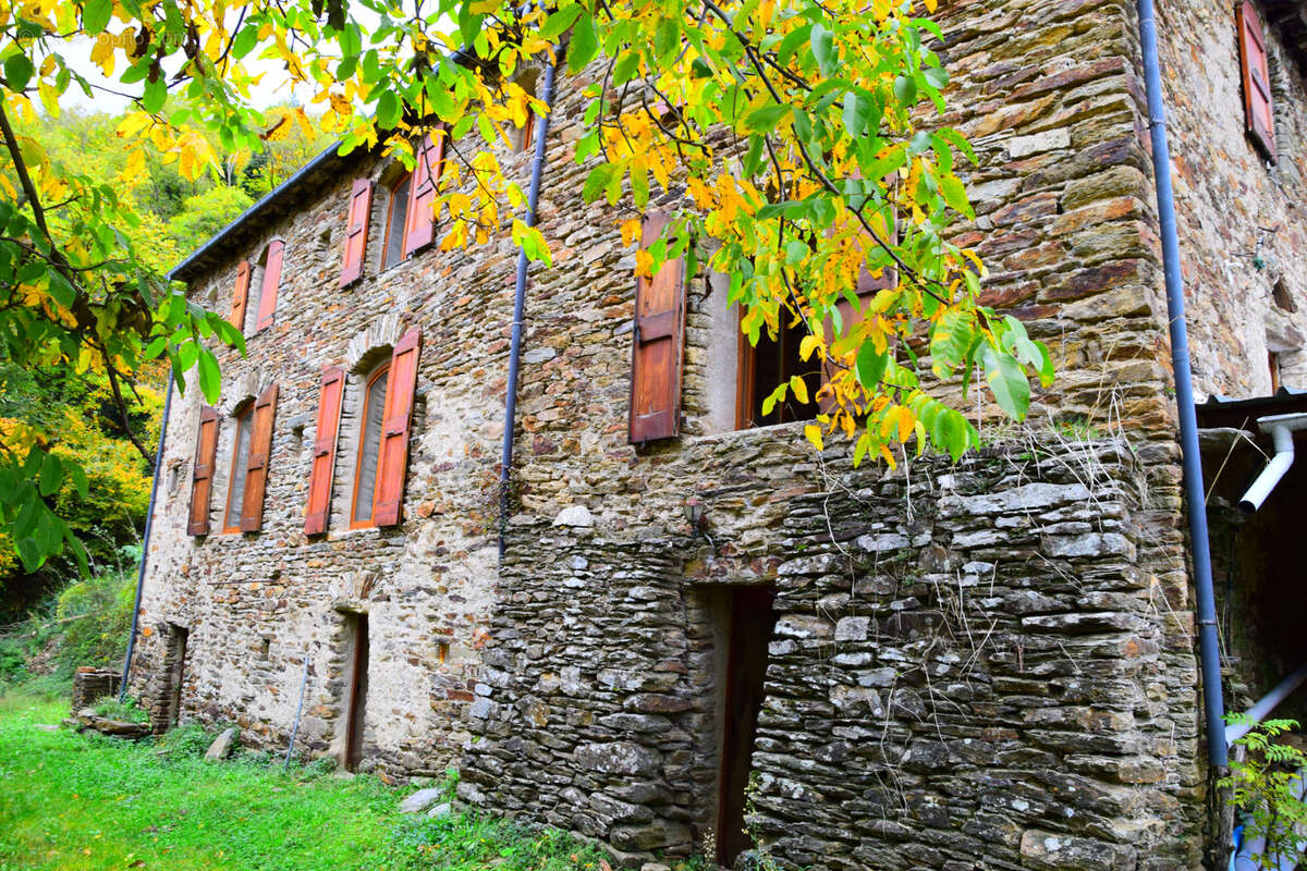 Maison à SAINT-PRIVAT-DE-VALLONGUE