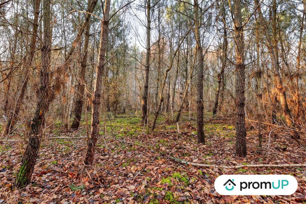 Terrain à CHATILLON-SUR-CHER
