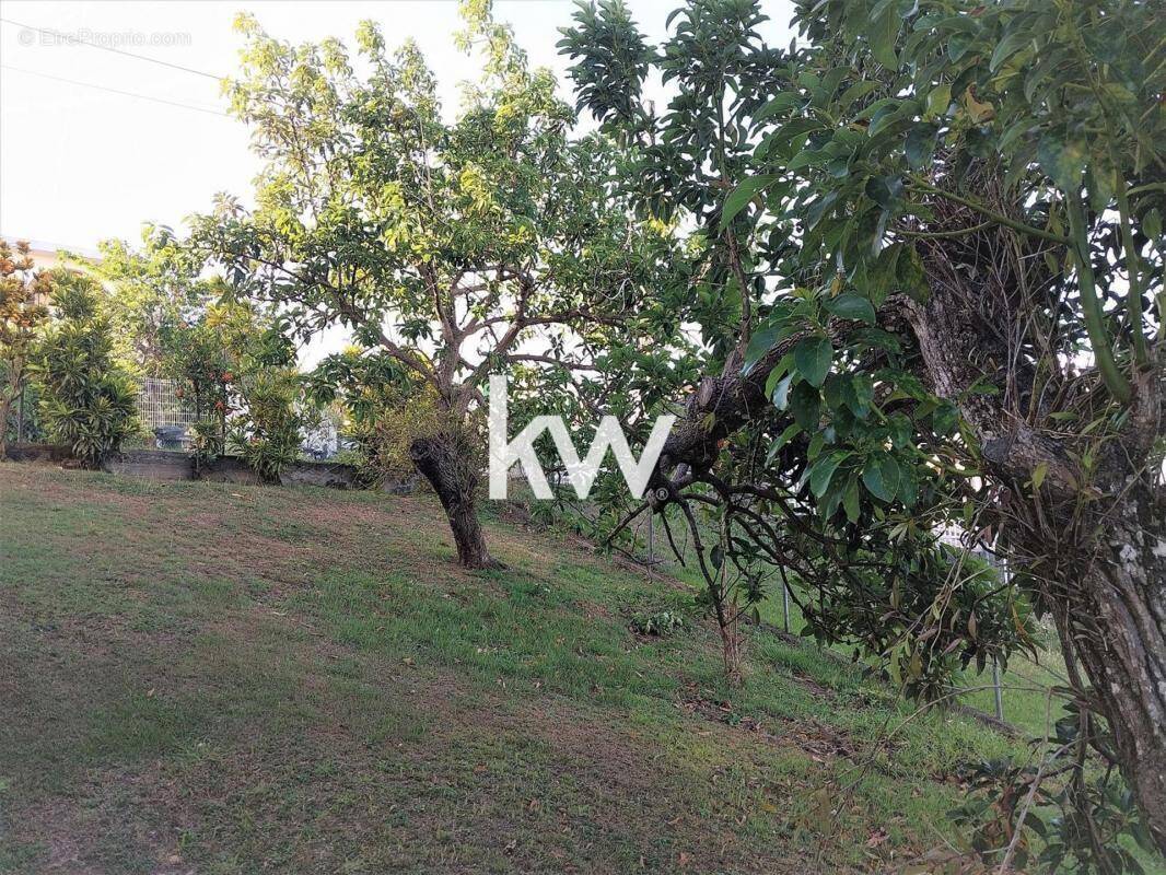 Maison à SCHOELCHER