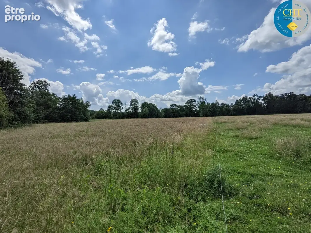 À Plélan-Le-Grand (35), Herbage de 13 000m2 et Parcelle de bois de 2 150m2 - photo 4