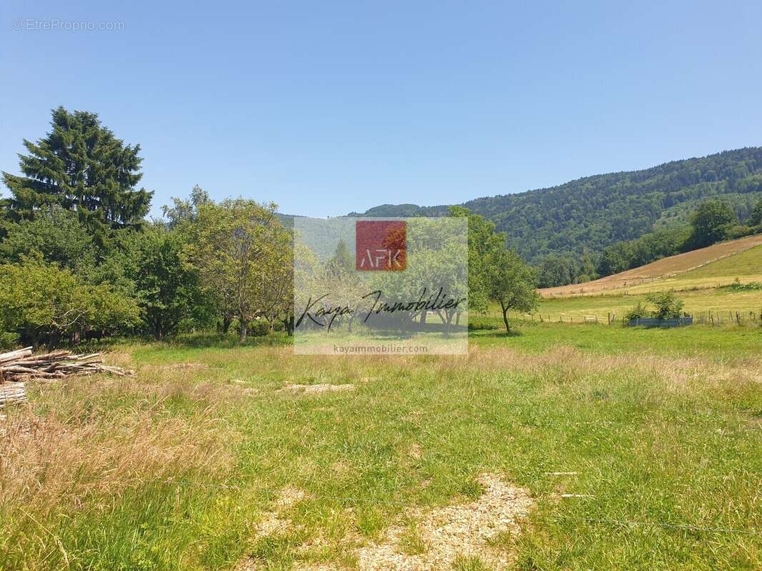 Terrain à SAINT-BLAISE