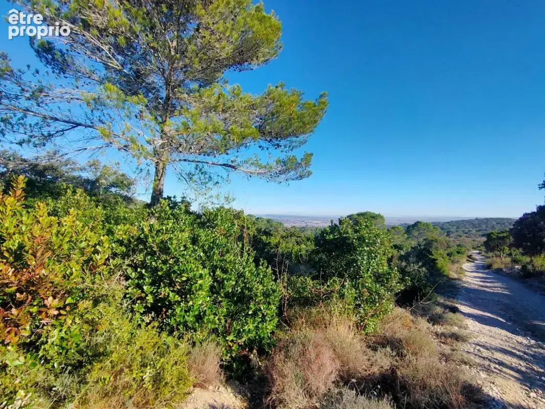 Villa 2019 - 3 ch - La Calmette - photo 19