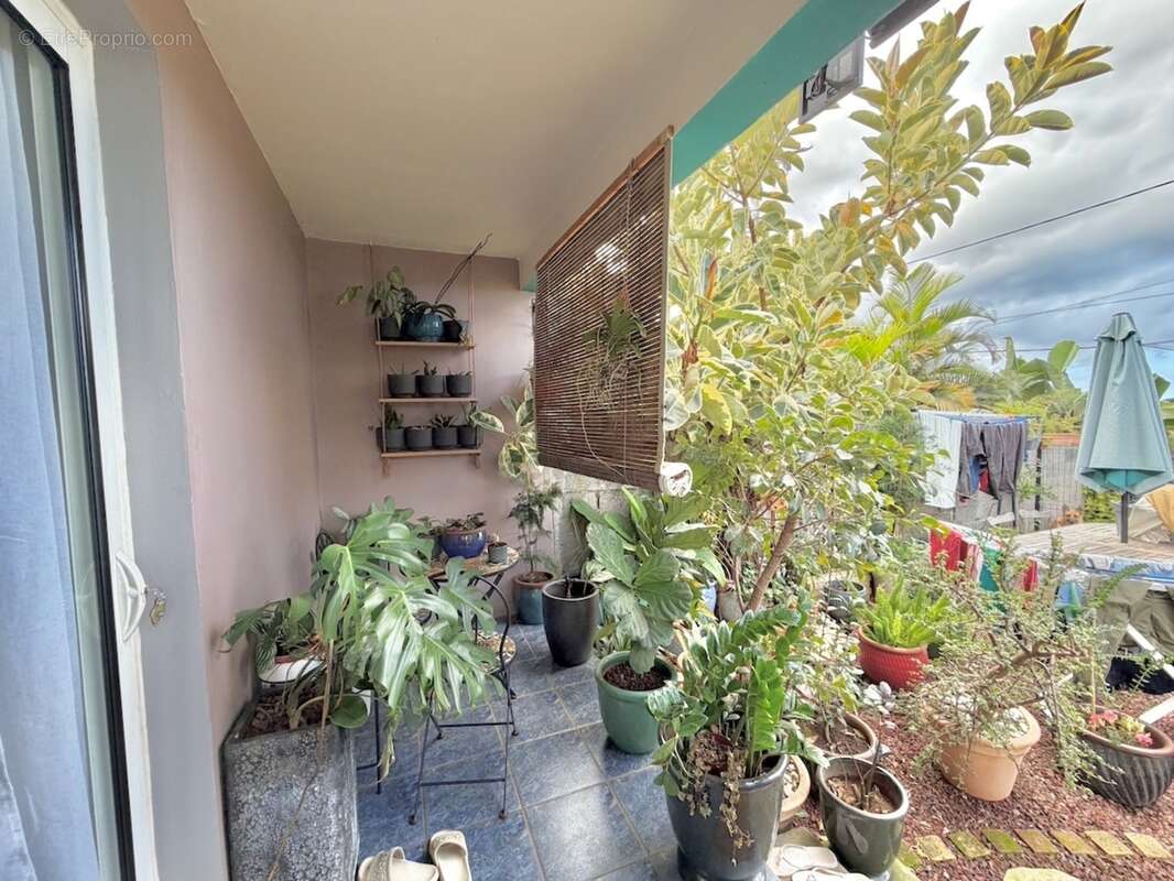 Maison T3 à vendre – La Rivière Saint-Louis (97421) – Duplex avec varangue – Idéal premier achat ou investissement - photo 4