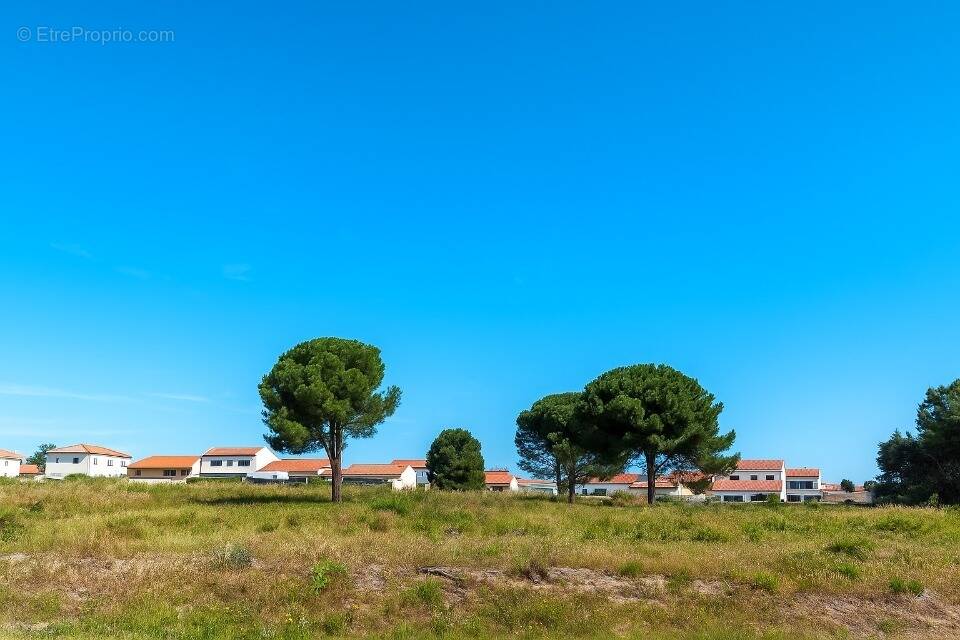 Terrain à LATOUR-BAS-ELNE