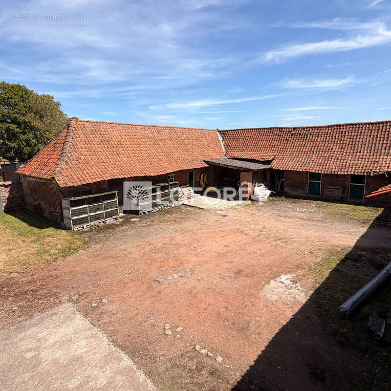 Maison à TEMPLEUVE