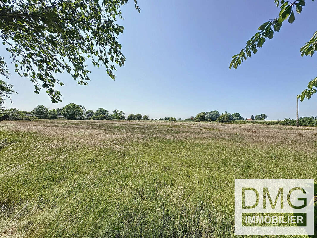 Commerce à STEENVOORDE