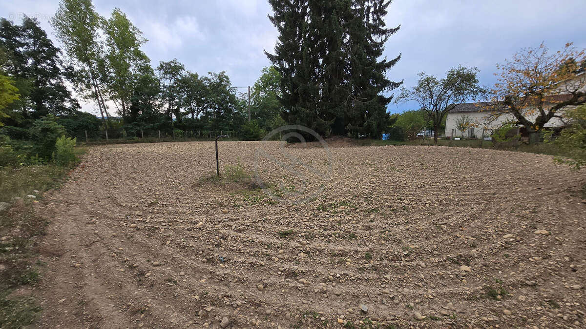 Terrain 800 M2 - photo 3