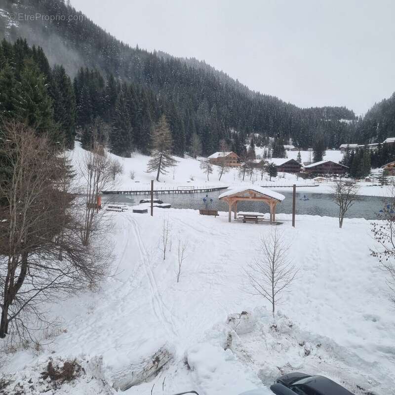 Appartement à CHATEL