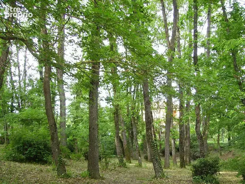 Terrain 2200 m² à Bruguieres  - photo 3