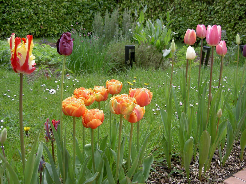 Maison à MONTIGNY-LE-BRETONNEUX