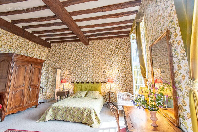 CHATEAU de famille du 17e siècle en très bon état à vendre à GIBEL - photo 25