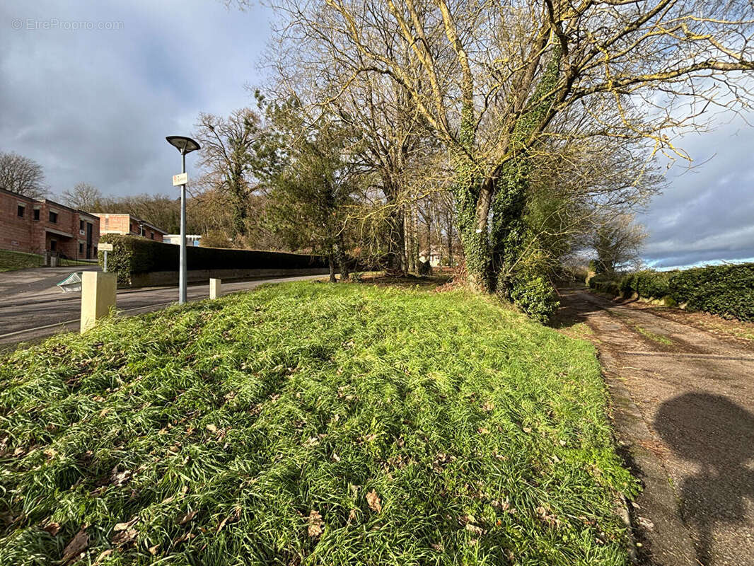 Terrain à ROZERIEULLES