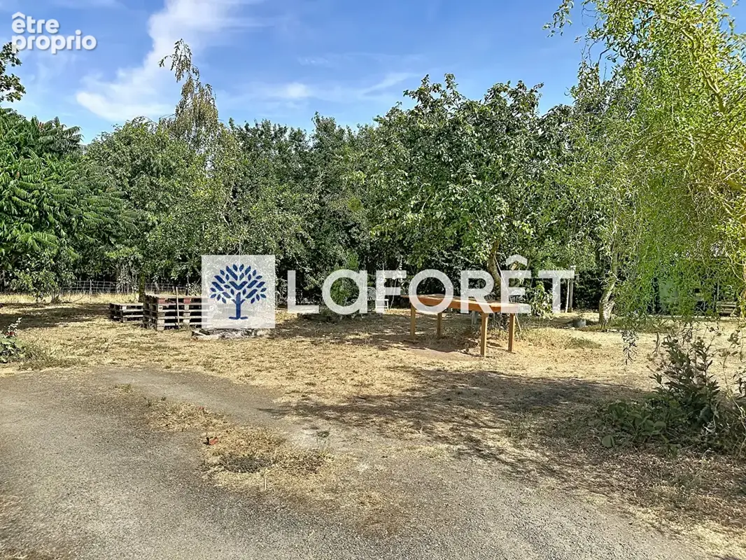 Vente maison Soussigny de REPEROUX - photo 17