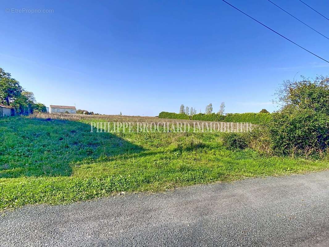 Terrain à MOUZEUIL-SAINT-MARTIN