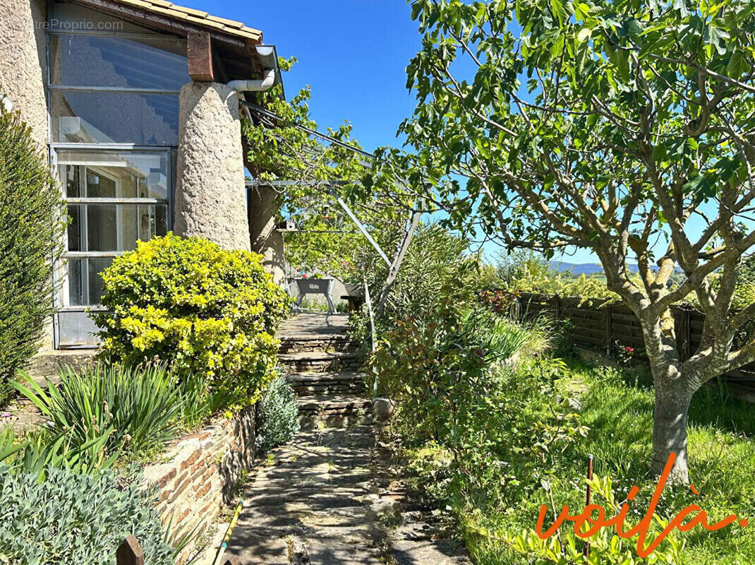 Maison à CARCASSONNE