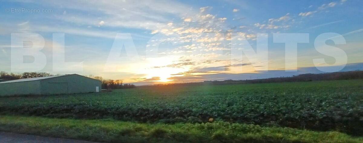 IMG-20251217-WA0000[1] - Terrain à GERMIGNY-L'EVEQUE