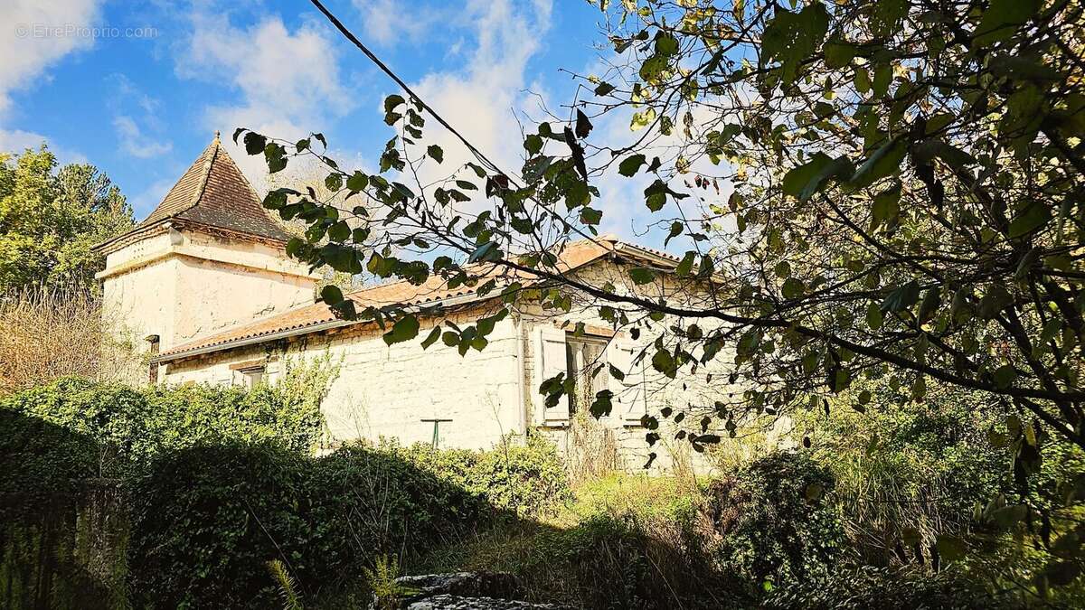 Maison et moulin, piscine sur grand terrain - photo 17