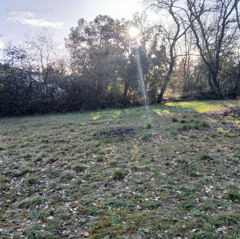 Terrain à DEAUX